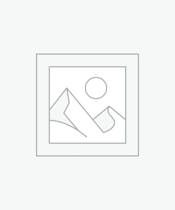 Birch veneer Armchair